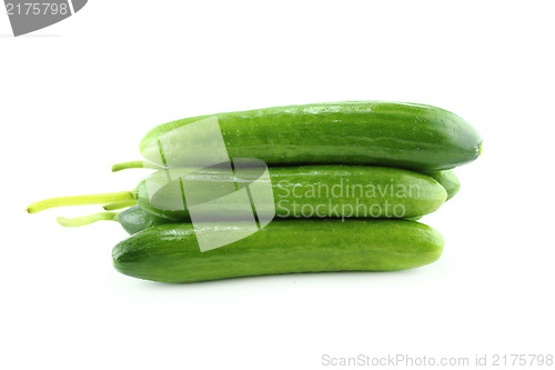 Image of Fresh Cucumber 