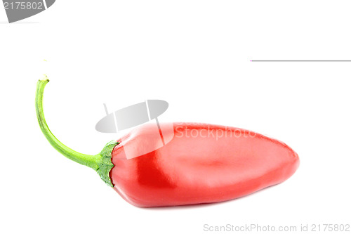 Image of red hot chili 