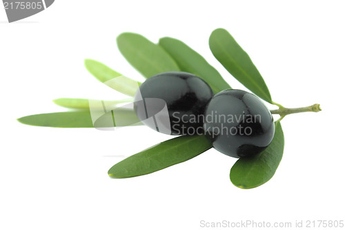 Image of Black Olives