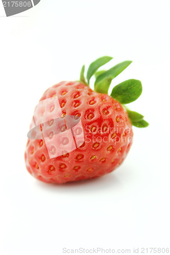 Image of Fresh Strawberry