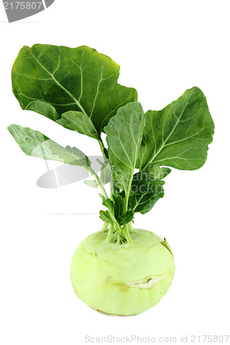 Image of Cabbage kohlrabi