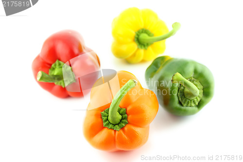Image of Group of colorful sweet bell pepper 