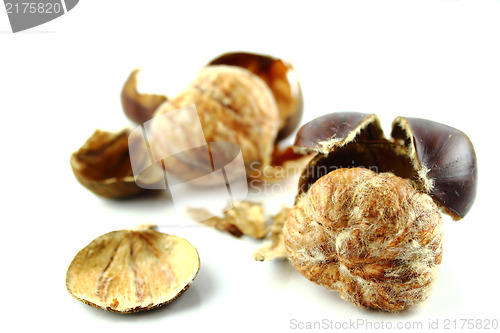 Image of Sweet chestnuts