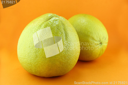 Image of Bergamot 