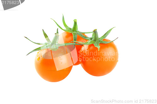 Image of fresh cherry tomatoes