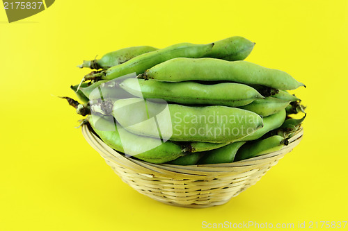 Image of broad bean pods and beans