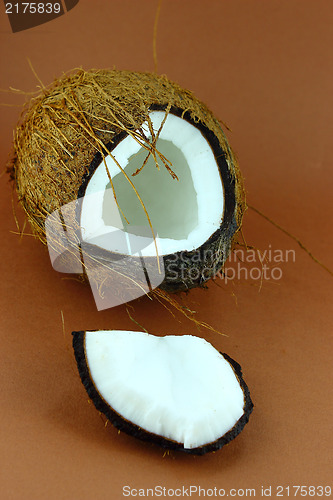 Image of fresh Coconuts