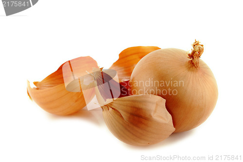 Image of Ripe golden onions