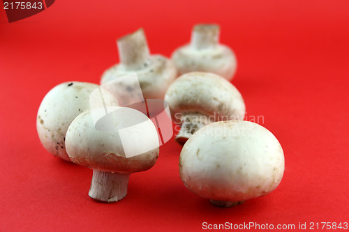 Image of button mushrooms