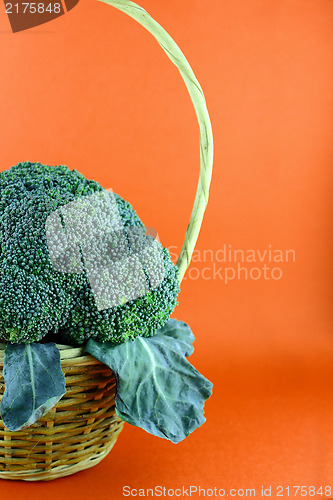 Image of Fresh broccoli