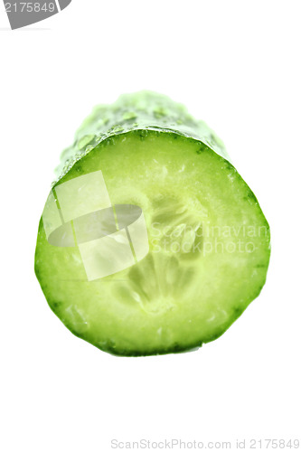 Image of Fresh Cucumber 