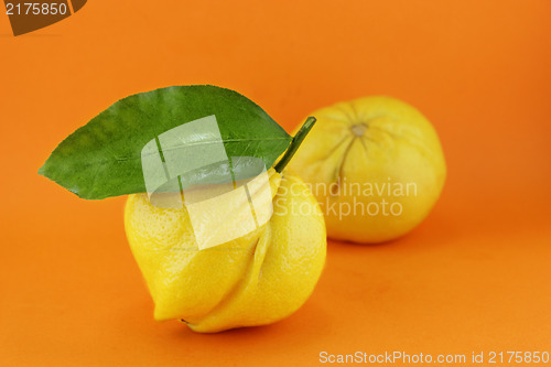 Image of lemon