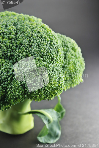 Image of Fresh broccoli