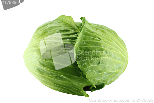 Image of fresh green cabbage