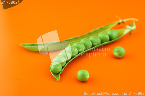 Image of fresh pea