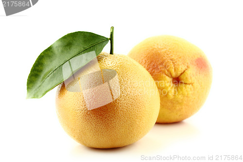 Image of Grapefruit
