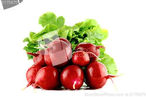 Image of red radish