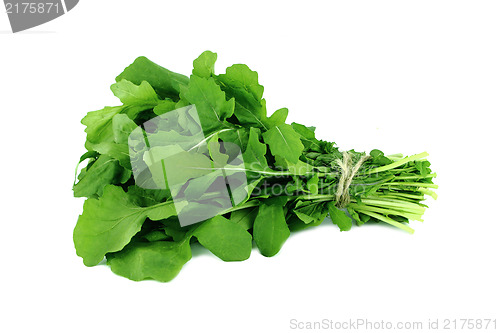 Image of Green Rocket 