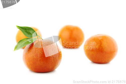 Image of fresh mandarin