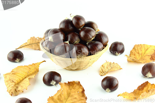 Image of Sweet chestnuts