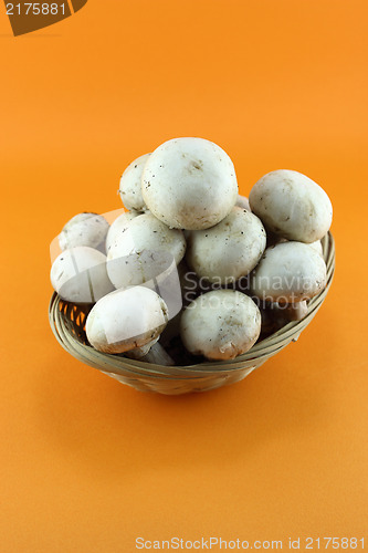 Image of button mushrooms