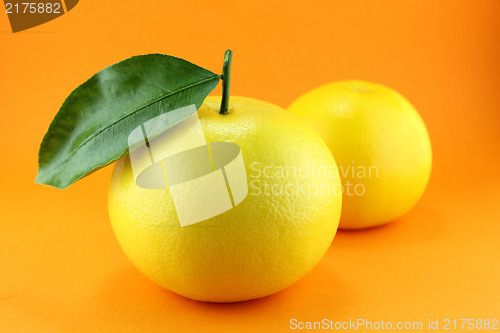 Image of Grapefruit