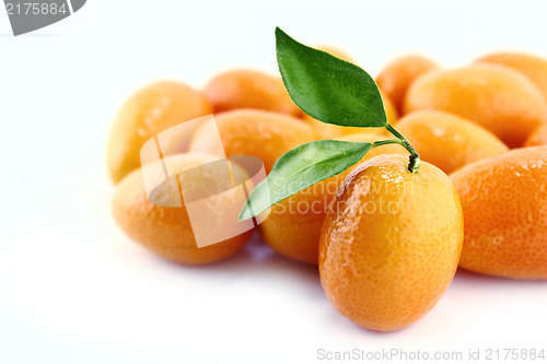 Image of Small Orange Fruit