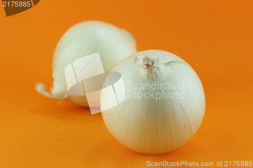 Image of Ripe white onions