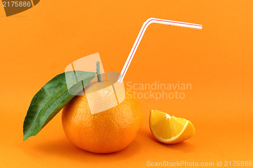 Image of Orange Fruit