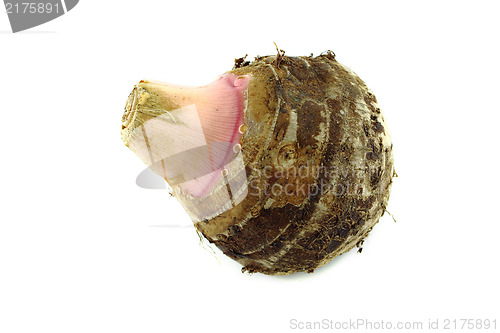 Image of  taro root or colocasia