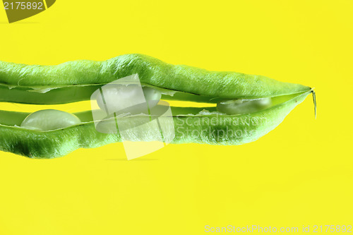 Image of fresh beans