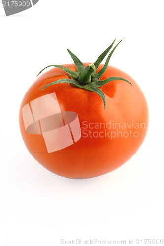 Image of fresh tomatoes