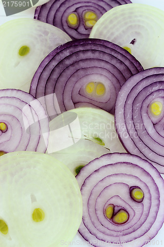 Image of Ripe golden onions