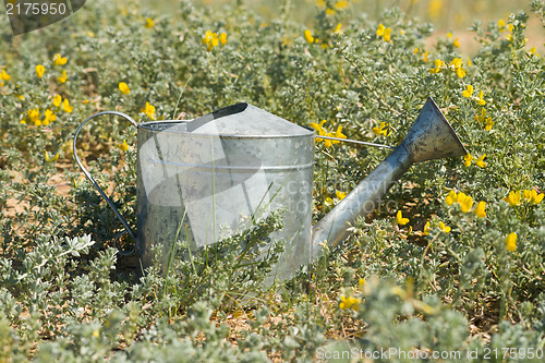 Image of Gardening still life