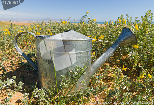 Image of Watering can