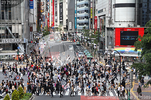 Image of Tokyo pedestrian crossing
