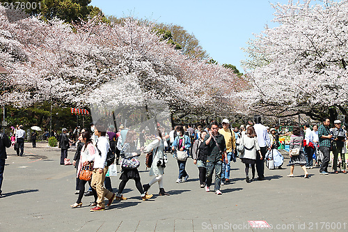 Image of Ueno Park