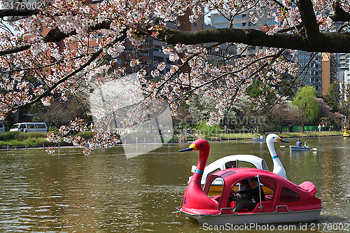 Image of Ueno Park, Tokyo