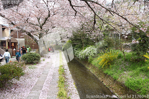 Image of Kyoto, Japan