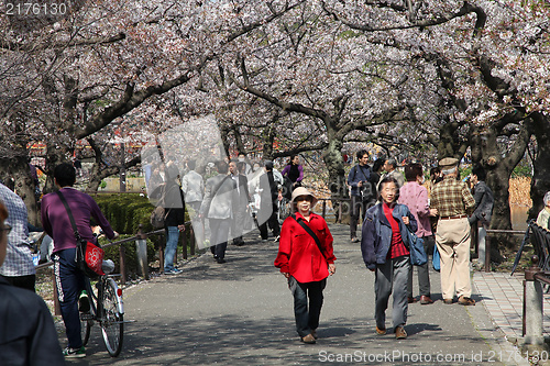 Image of Ueno Park, Tokyo