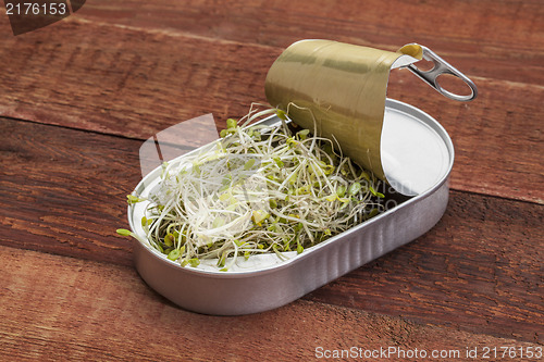 Image of broccoli sprouts in can