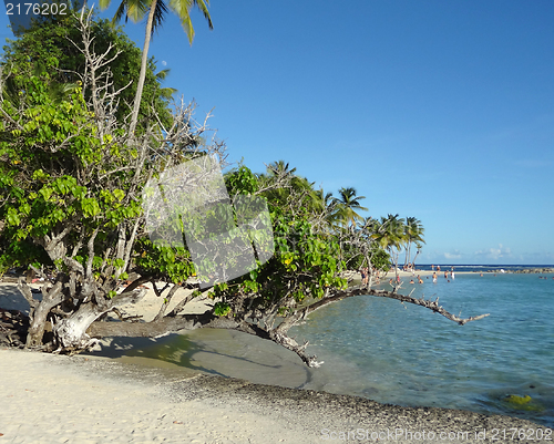 Image of caribbean beach scenery