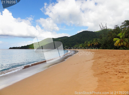 Image of caribbean beach scenery