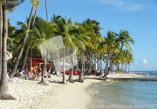 Image of caribbean beach scenery