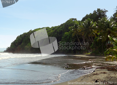 Image of caribbean beach scenery