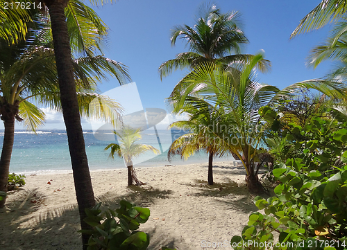 Image of caribbean beach scenery