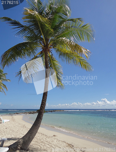 Image of caribbean beach scenery