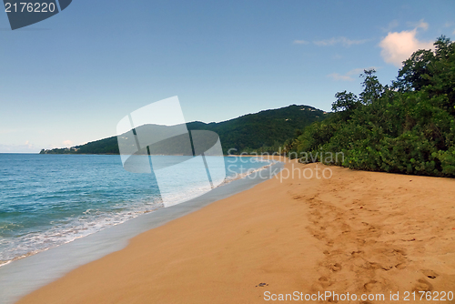 Image of caribbean beach scenery