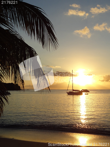 Image of coastal evening scenery at Guadeloupe