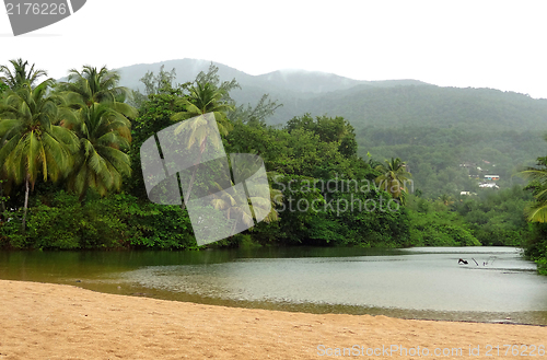 Image of caribbean beach scenery